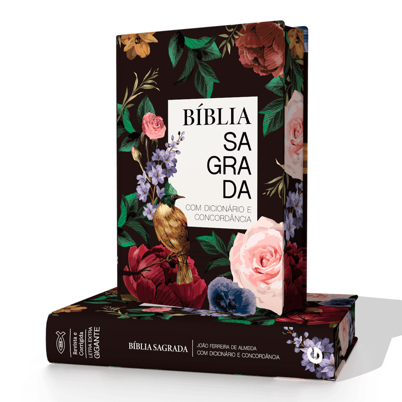 Biblia ARC - Dicionário e Concordância